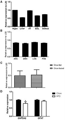 CNS GNPDA2 Does Not Control Appetite, but Regulates Glucose Homeostasis